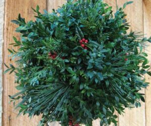 12" Mixed Kissing Ball